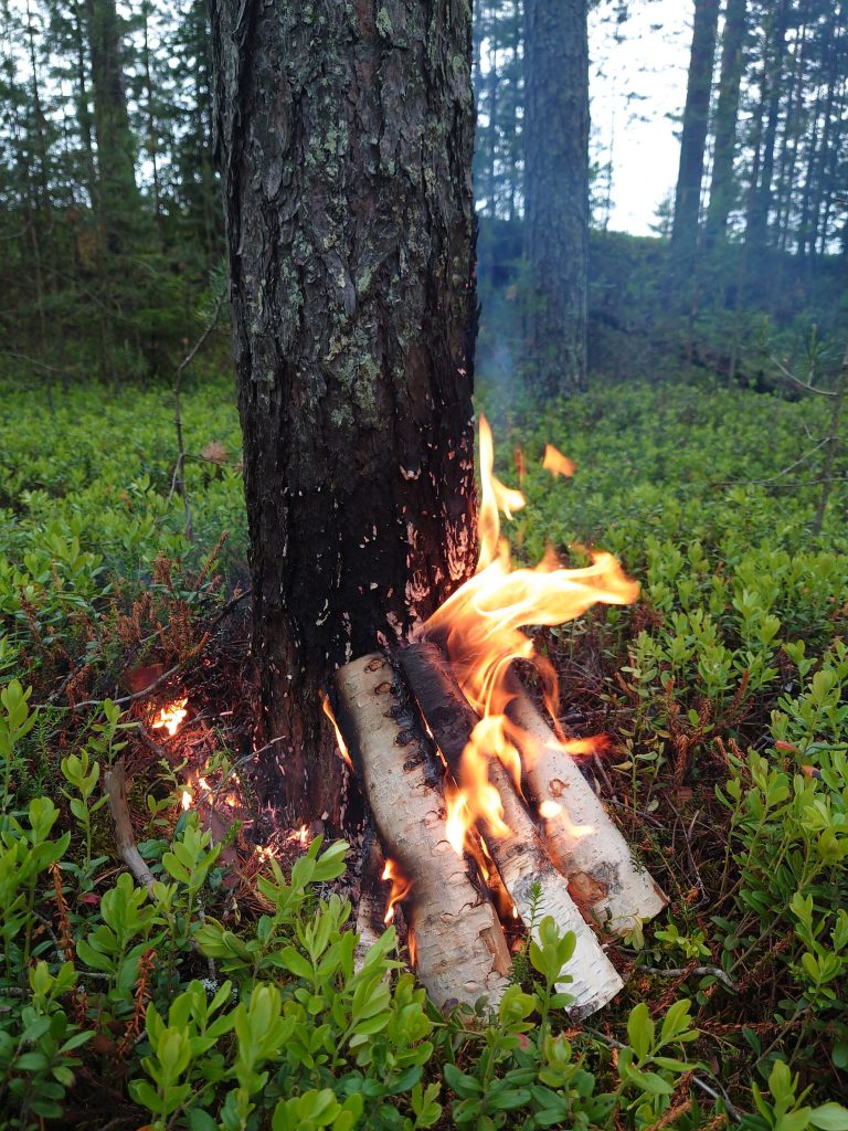 BDX verkar för större biologisk mångfald